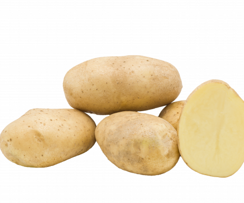 Сорт картофеля Лабадиа (селекция Stet)